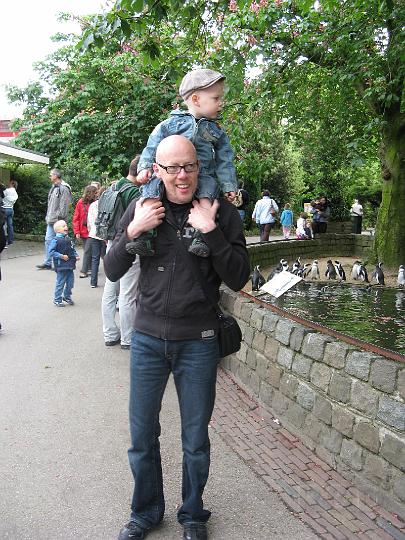 Imme 18 mei 2008 Blijdorp (3).JPG